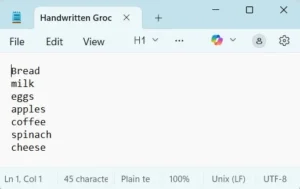 Screenshot of a txt file created from a photograph with QuillBot's image to text converter