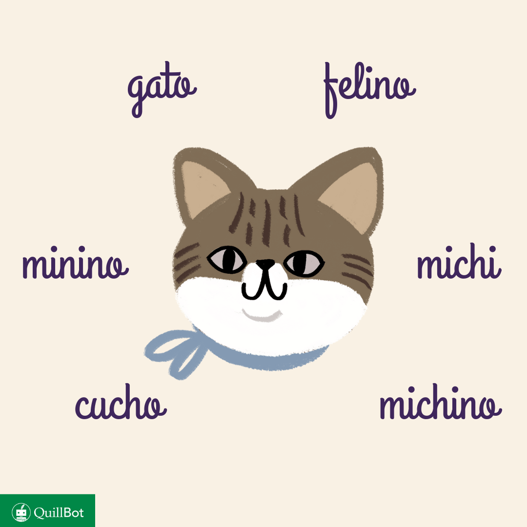 chat en espagnol
