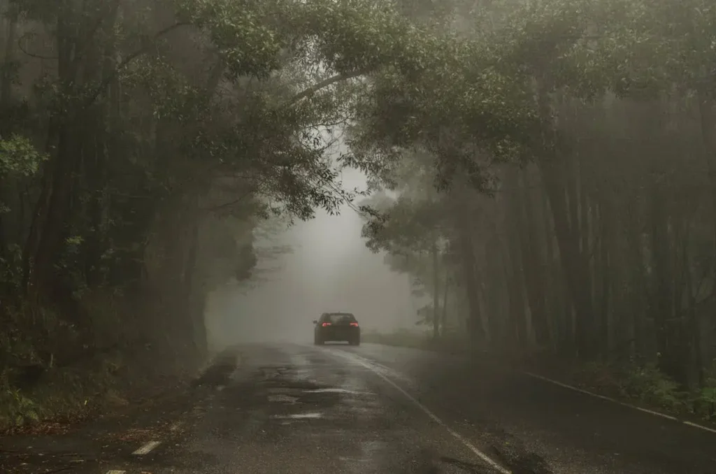 An AI-generated image of a car on a road in the forest