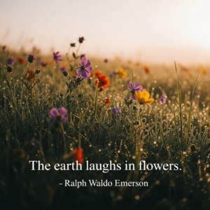 Image showing a flower field in the background. In the foreground, the text reads "The earth laughs is flowers" by Ralph Waldo Emerson.