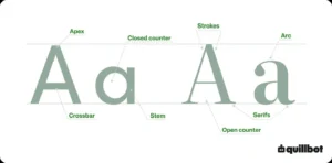 Capital A and lowercase A with parts labeled