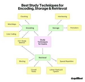 Study techniques that support encoding, storage, and retrieval
