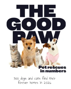 instagram post template for a nonprofit pet rescue highlighting their impact