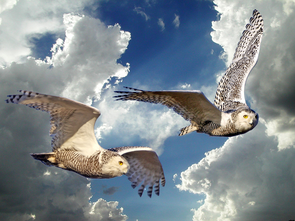 English Composition I: Cerritos College